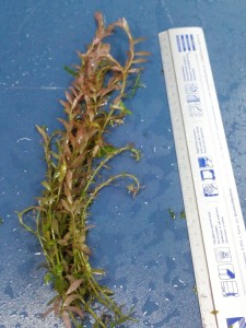 2015-03-29 17.14.41.jpg