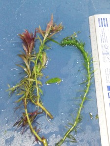 2015-03-29 17.14.56.jpg