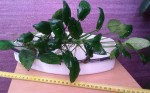 20150310_122027.jpg
