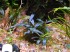 DSC00686.JPG