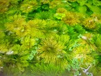 DSC04299.JPG