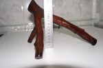 DSC04904.JPG