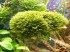 DSCF0055.JPG