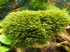 DSCF0059.JPG