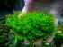 DSCF2318.jpg