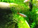 DSCF9611.JPG