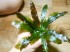 DSCN0106.JPG