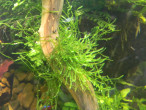 DSCN3489.JPG
