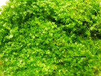 DSCN3574.JPG