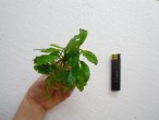 DSCN3638.JPG