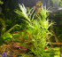 DSCN4019.JPG