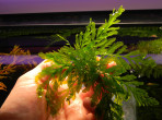 DSCN4021.JPG