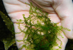 DSCN4027.JPG