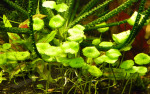 DSCN4033.JPG