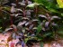 DSCN4805.JPG