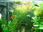 copy_464_IMG_2479.jpg
