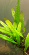 copy_710_pic.png