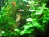 copy_853_IMG_2480.jpg
