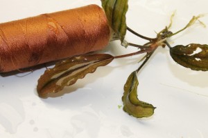 Изображение 2571.jpg