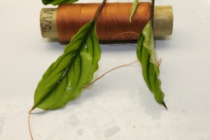 Изображение 2618.jpg