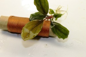 Изображение 2637.jpg