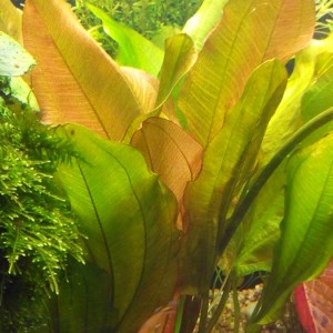 2015-04-12 11.43.35.jpg