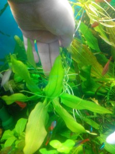 20150410082453.jpg