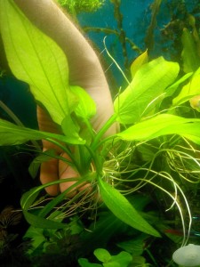 20150410082508.jpg