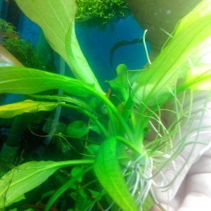 20150410082641.jpg