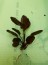 20150417_154851.jpg