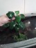 20150418_152613.jpg