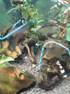 20150426_080644.jpg