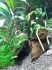 20150426_080654.jpg
