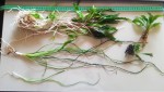 20150427_101442.jpg