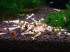 DSC00461.JPG