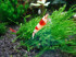 DSC00469.JPG