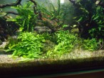 DSCF1749.jpg