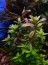 DSCN5030.JPG