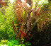 P4240408.JPG