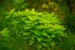 copy_168_DSC_0044.jpg