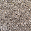 copy_300_2-3.jpg