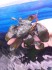 copy_391_bucephalandra-sp-gost-long-leaf.jpg