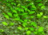 copy_470_copy_204_copy_833_глосса.jpg