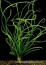 copy_623_copy_963_copy_609_user27967_pic199893_1422276013.jpg