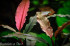 copy_909_IMG_6875.jpg