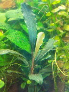 2015-05-24 16.13.59.jpg