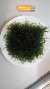 20150201180621[1].jpg