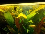 20150419_180150.jpg