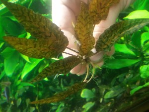 20150525_201958.jpg