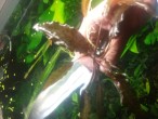 20150525_202050.jpg